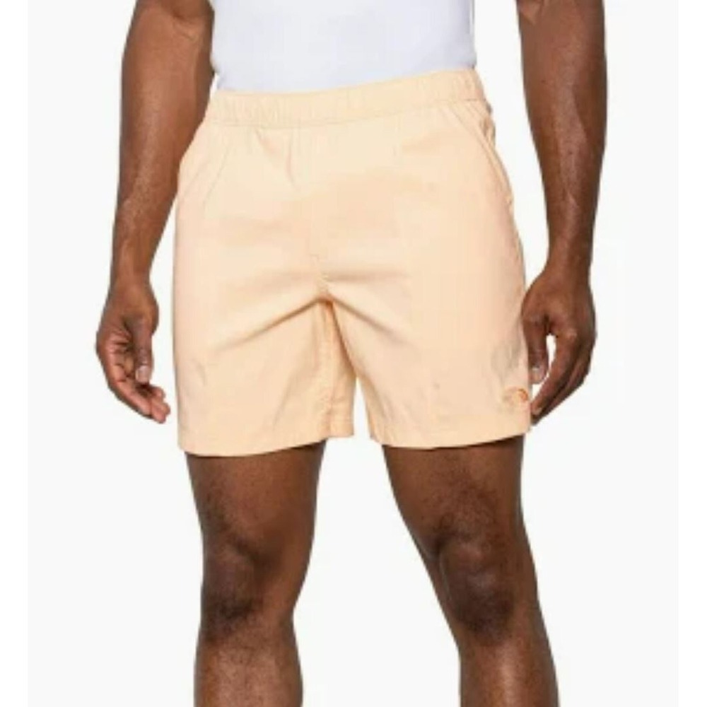 The North Face Mens Class V Pull-On Shorts Apricot Ice Pink Relaxed L NF0A5A5X